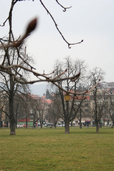 Vinogradska cesta Vinogradska cesta