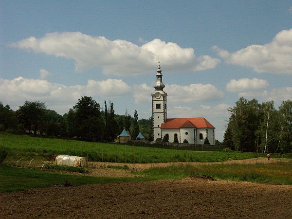 d_voca d_voca